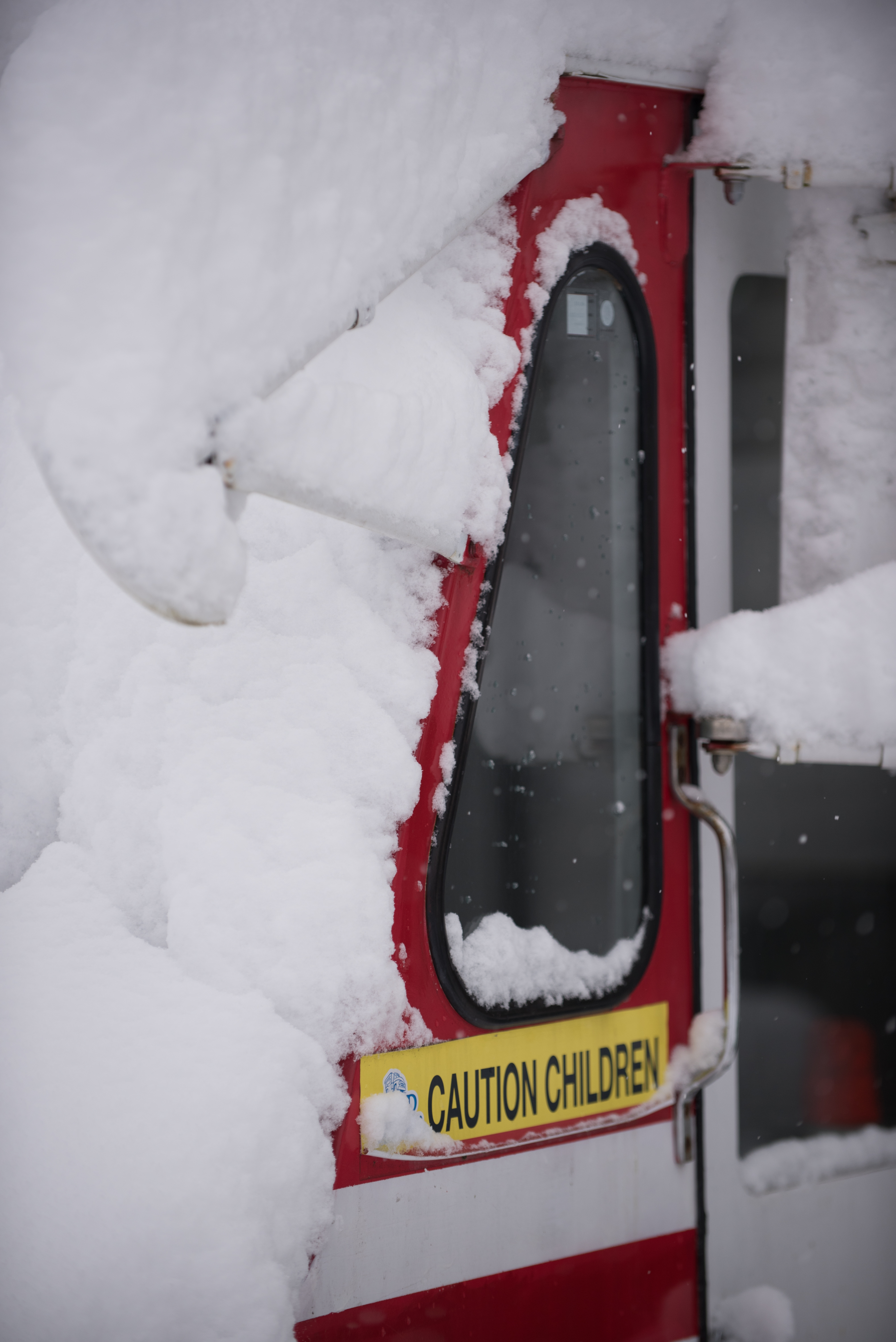 Tilly gets buried in snow