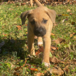 Interns- Otis and Tricia